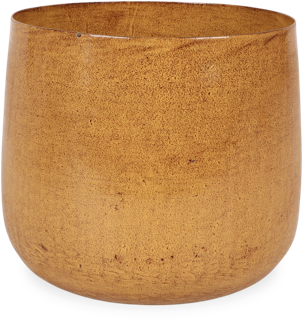 Benson (19 cm)