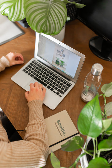 Pflanzen am Arbeitsplatz | Plantsome