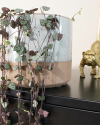 inspiratie-4