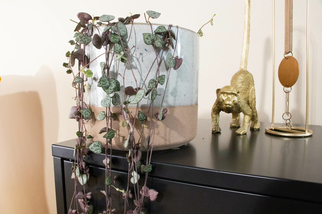 inspiratie