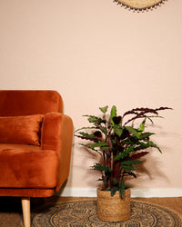 inspiratie-3