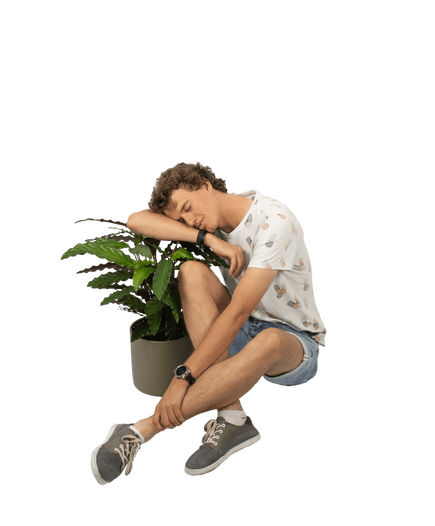 Plantenliefhebber