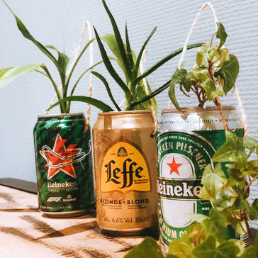 Plantsome's Green Friday -  8 grüne Tipps