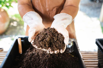 Kompost und Dünger: der Schlüssel zu einem gesunden Gartenboden