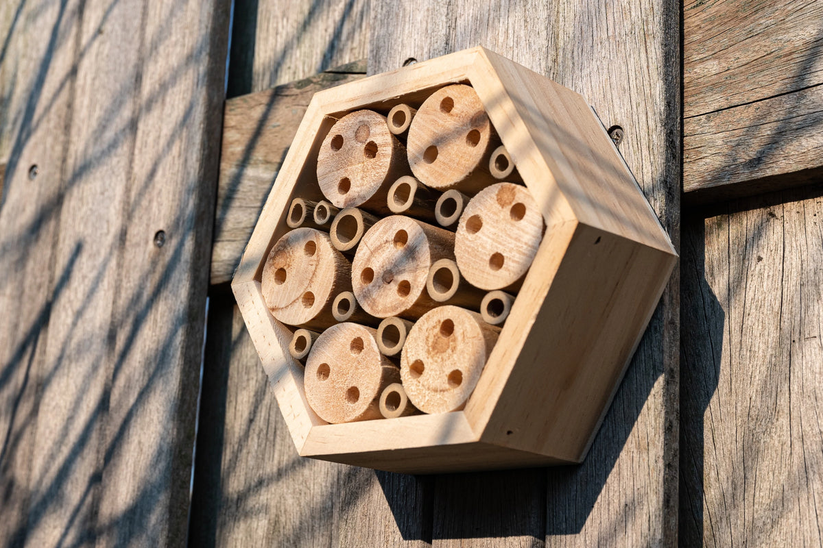 Bienenhotel | Plantsome