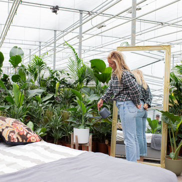 Pflanzenpflege nach dem Urlaub | Plantsome