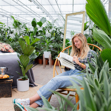 Urban Jungle kreieren | Plantsome