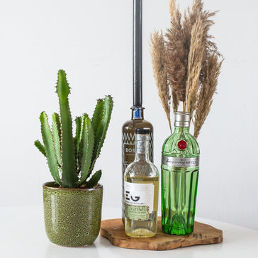 5 Sommercocktails für dich und deine Amigos