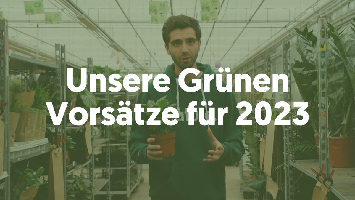 Unsere Grünen Vorsätze für 2023