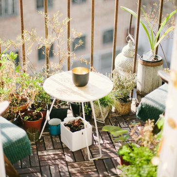 Topfpflanzen auf Balkon | Plantsome | via Unsplash