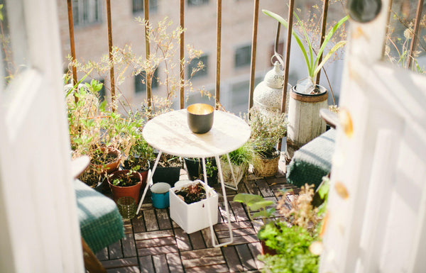 Topfpflanzen auf Balkon | Plantsome | via Unsplash