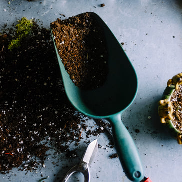 Erde für Gartenpflanzen: Welche ist am besten?