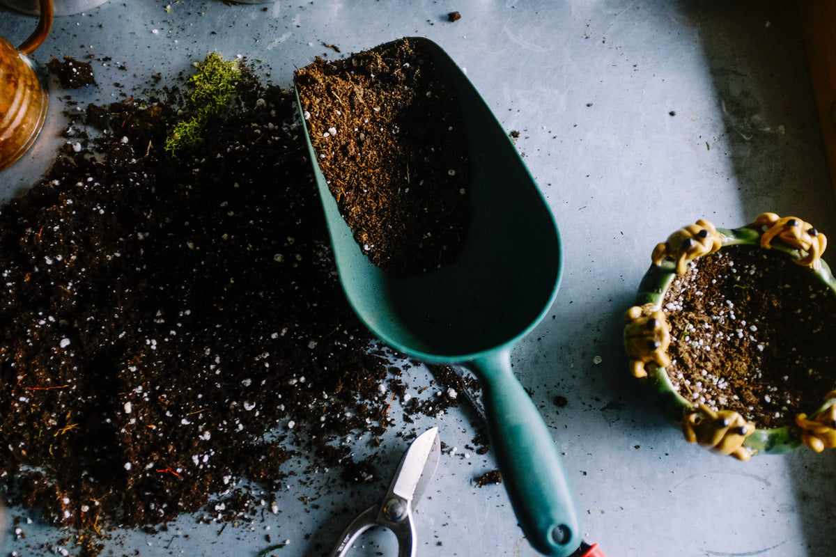 Arten von Erde im Garten (Foto via Unsplash)