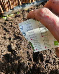 Gemüsegartenbeschützer Samenpaket BIO inspiratie 3
