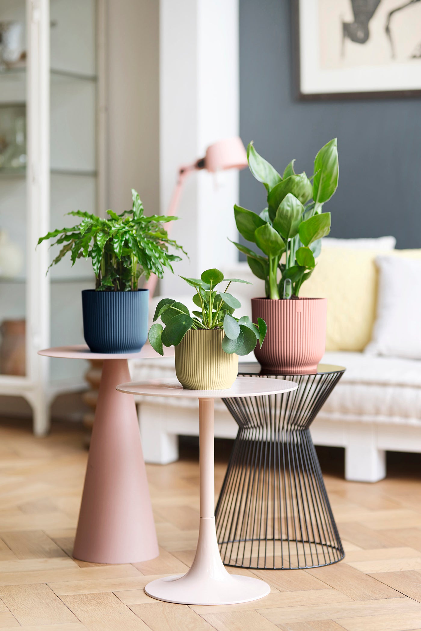 inspiratie