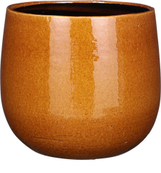 Pablo Smooth (29cm) Ocker