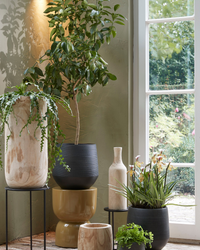 Evora (24cm) inspiratie 1