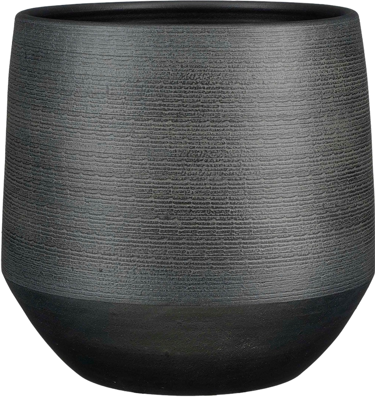 Evora (16cm) Schwarz