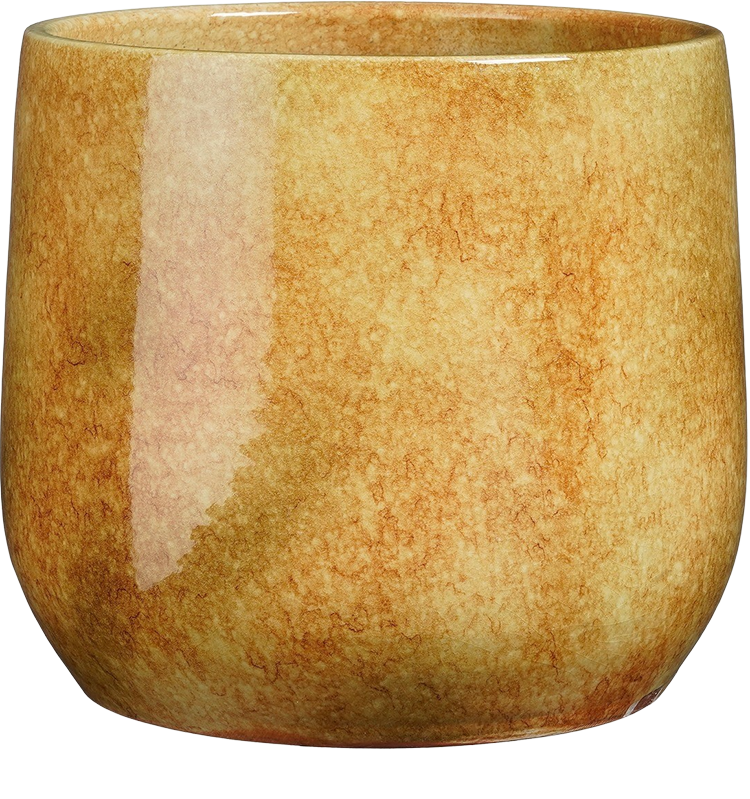 Hugo (16cm) Ocker