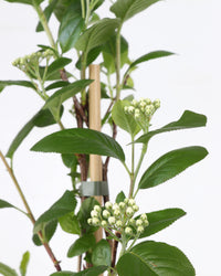 inspiratie-2
