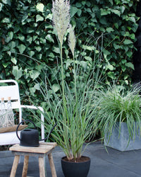 inspiratie-2