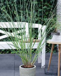 inspiratie-1