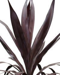 inspiratie-5