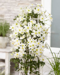 inspiratie-3