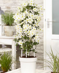 inspiratie-1