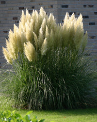 inspiratie-3