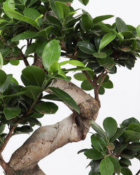inspiratie-3