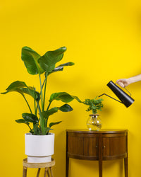 inspiratie-2