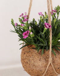 inspiratie-1