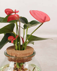 inspiratie-1