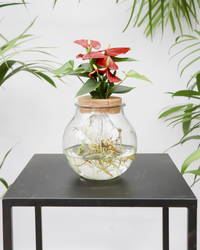 Anthurium in Wasser inspiratie 2