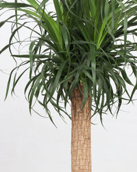inspiratie-2