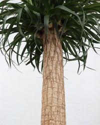 inspiratie-3