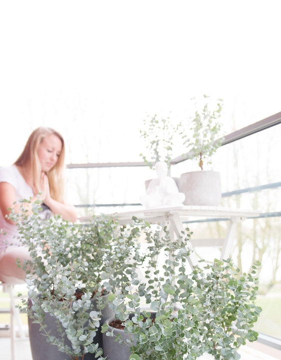inspiratie