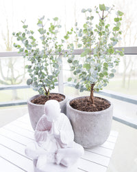 inspiratie-2
