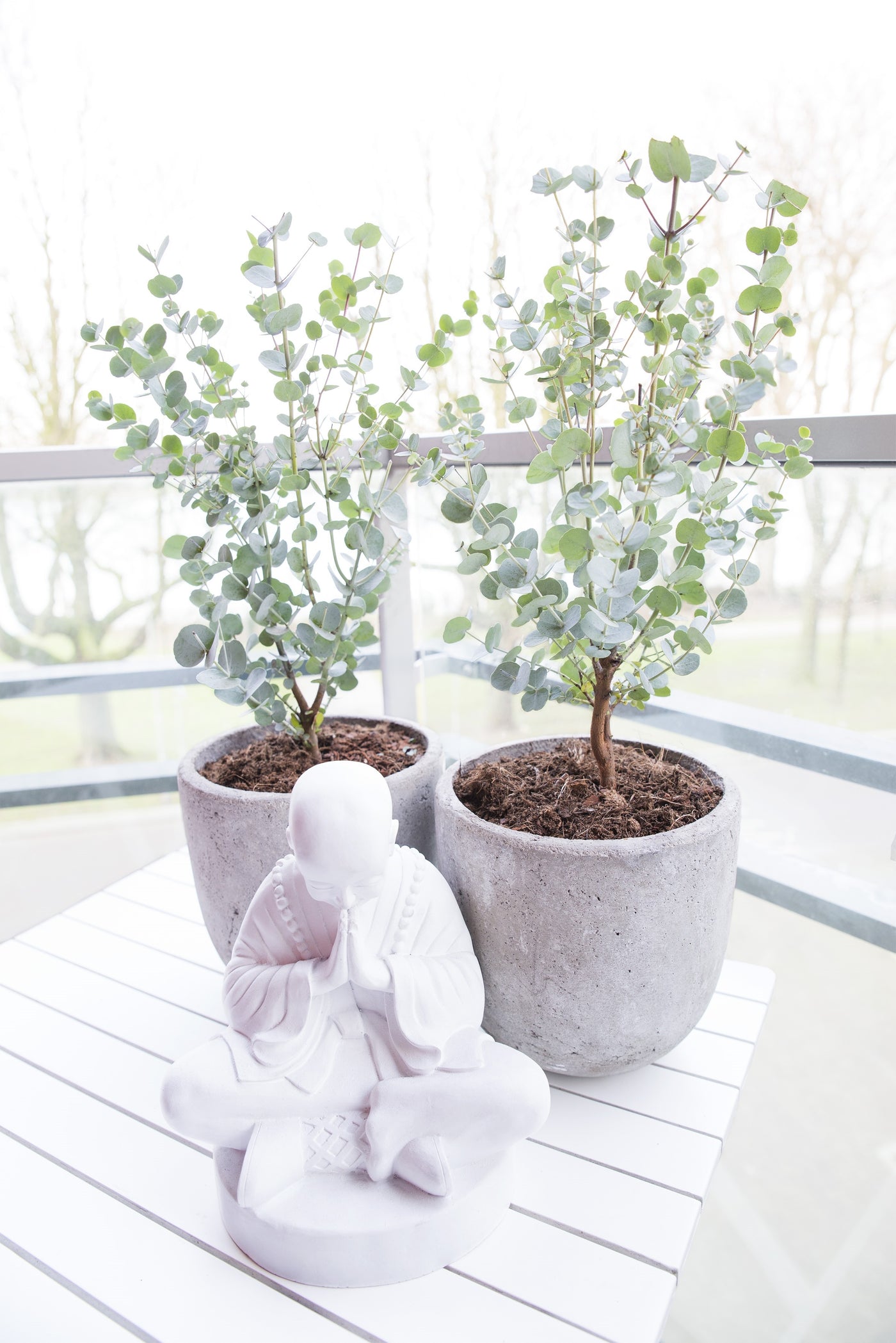 inspiratie