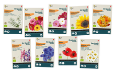 Wilde Schnittblumen Samenpaket BIO