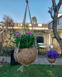 inspiratie-2