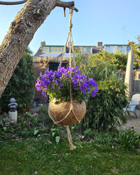 inspiratie-2