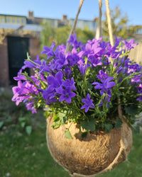 inspiratie-1