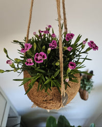 inspiratie-3