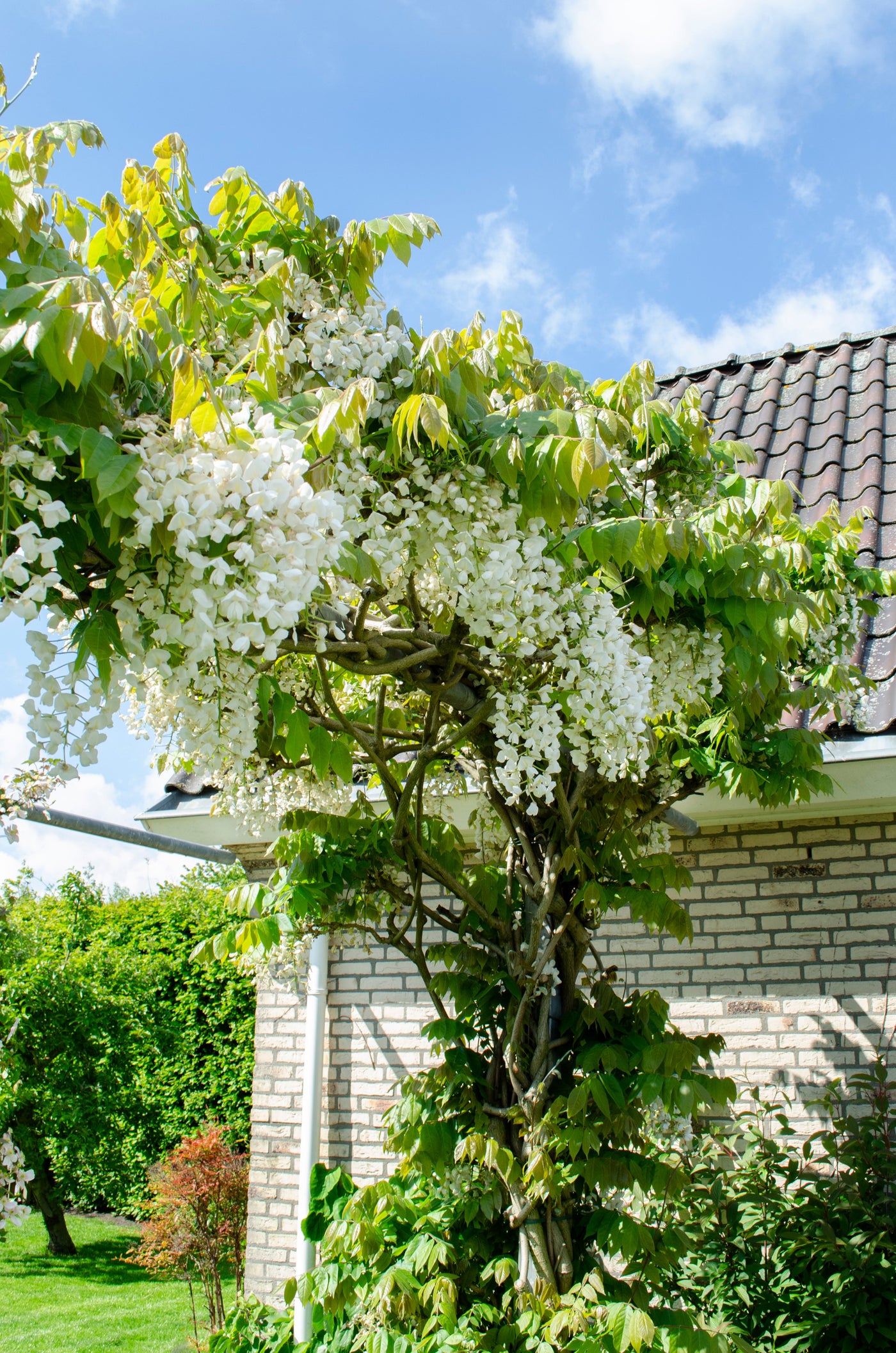 inspiratie