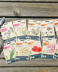 inspiratie-1