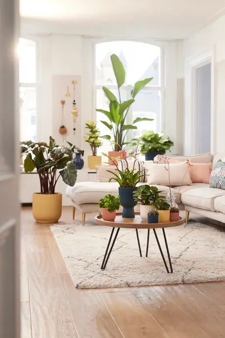 inspiratie
