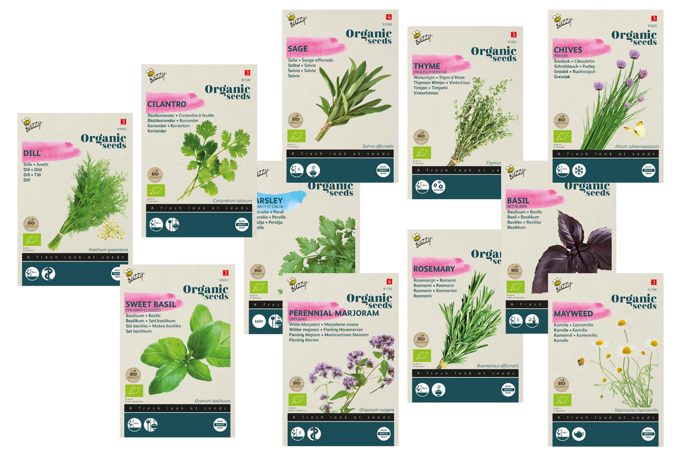 Das Kräuterregal Samenpaket BIO
