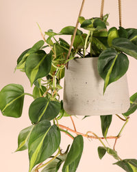 inspiratie-3